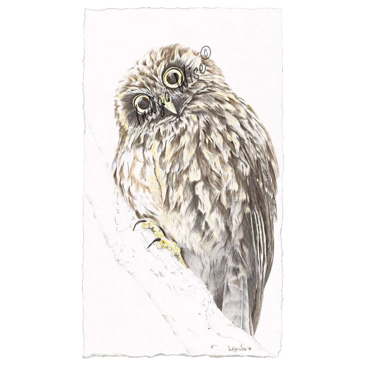 "Ruru" Giclee Print