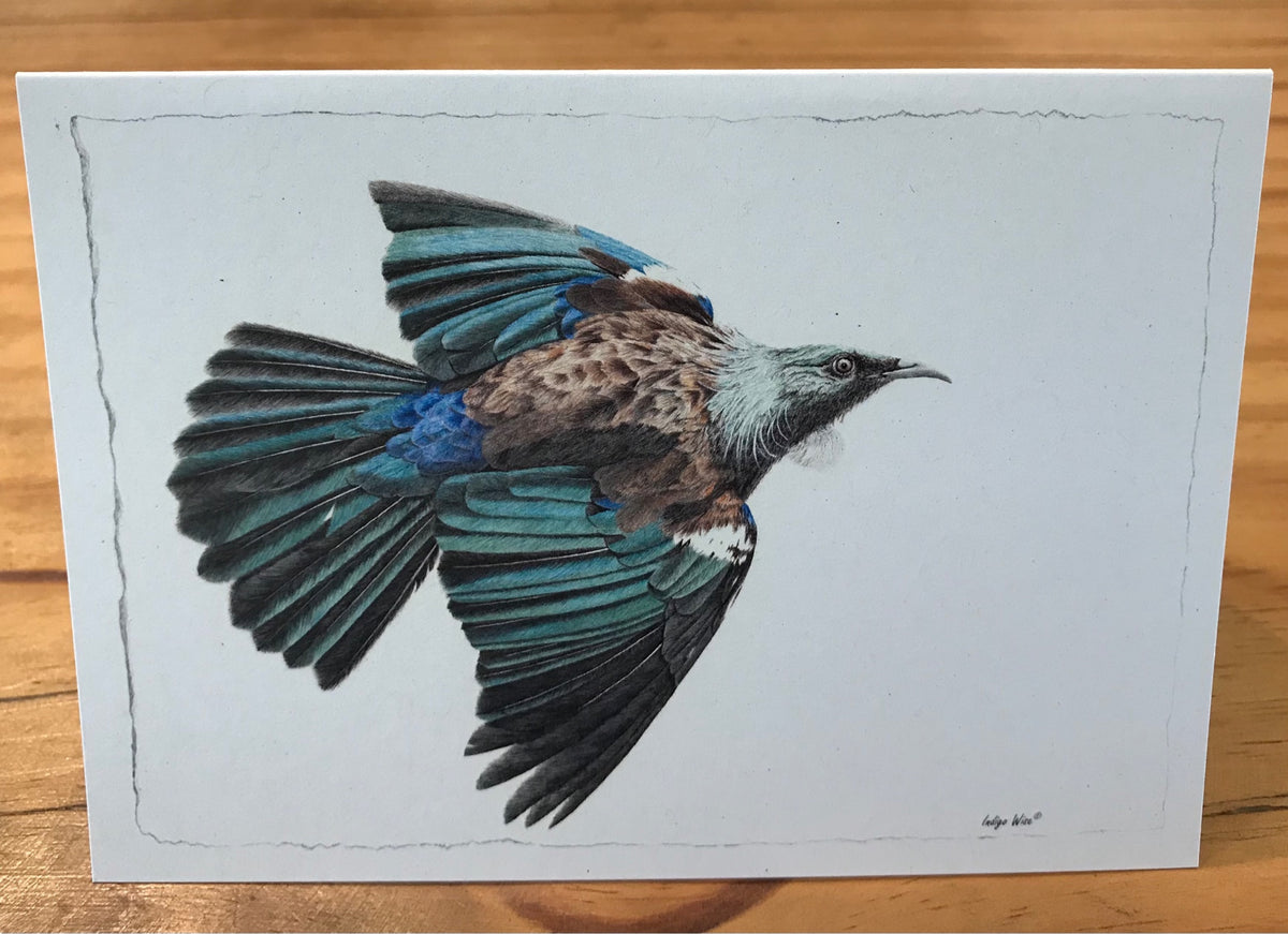 "Tui Flight" Greeting Card