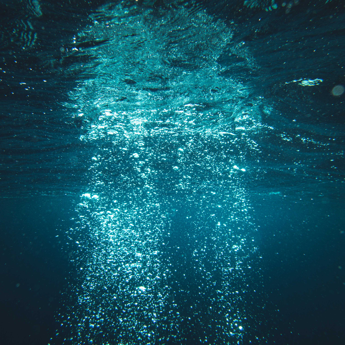 Underwater bubbles rising
