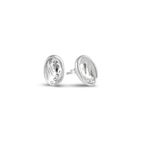 Baby Pāua Studs