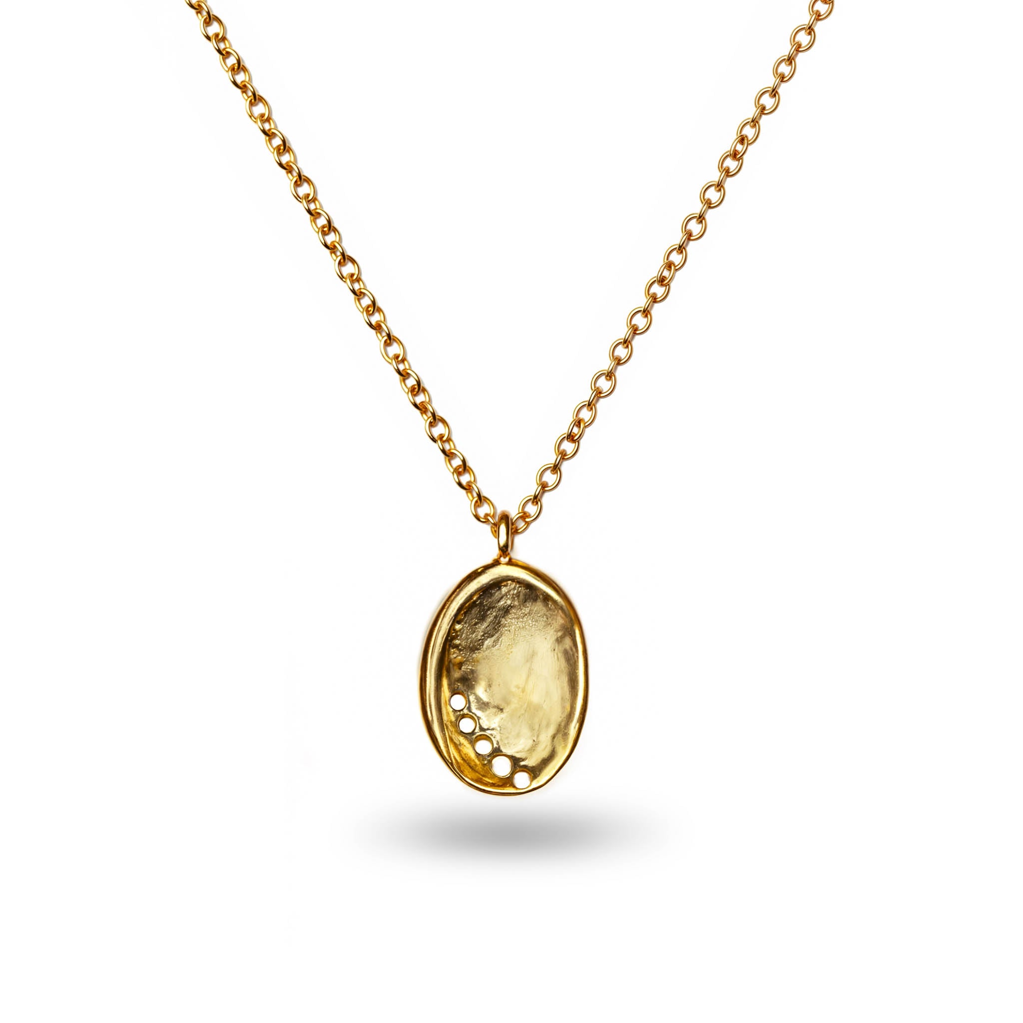 Pāua Whetū Gold Necklace main image 0