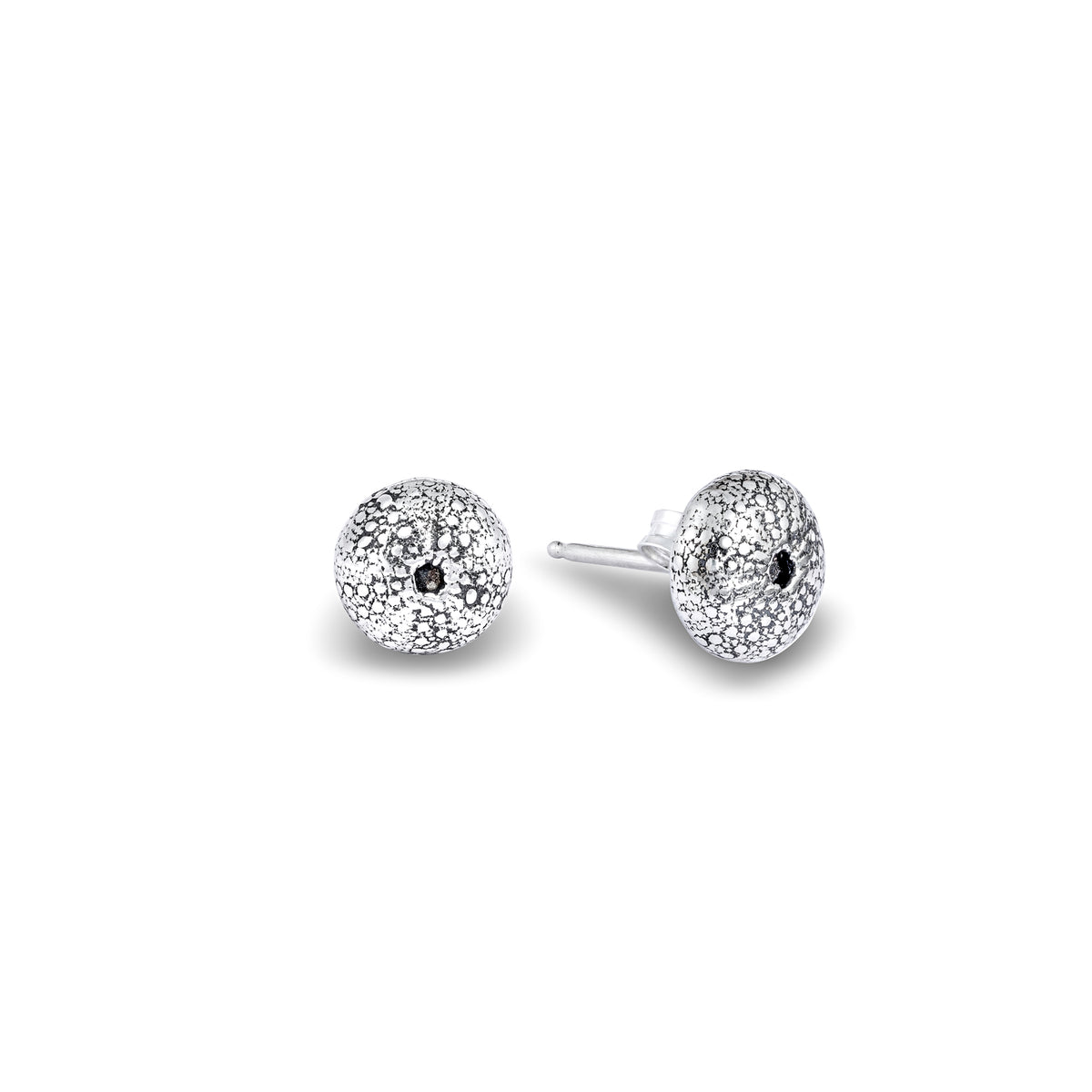 Kina Shell Stud Earrings