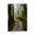 A Walk To Remember Greeting Card