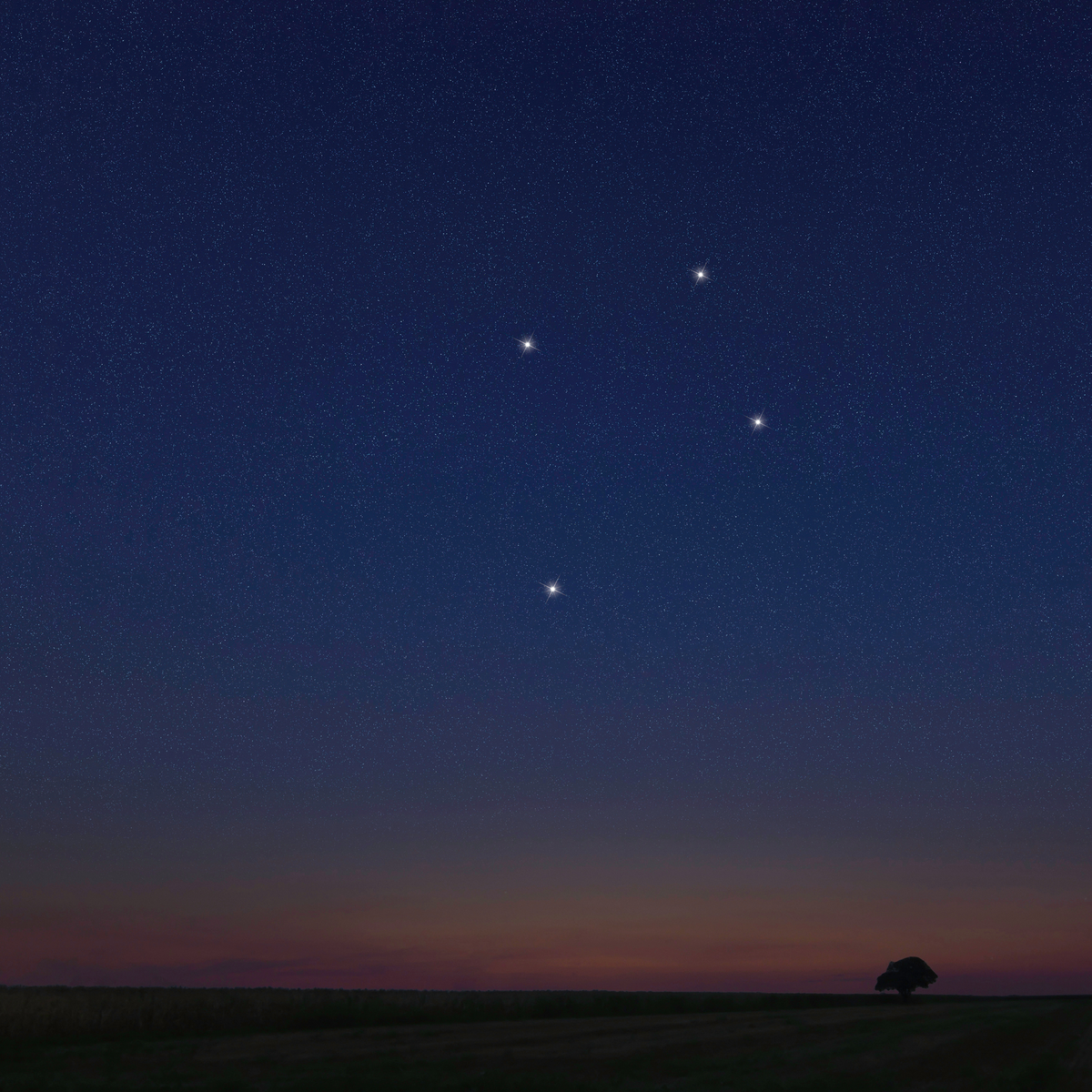 Southern Cross (crux) constellation
