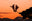Tūī Twosome  METALBIRD