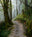 A Walk To Remember Greeting Card