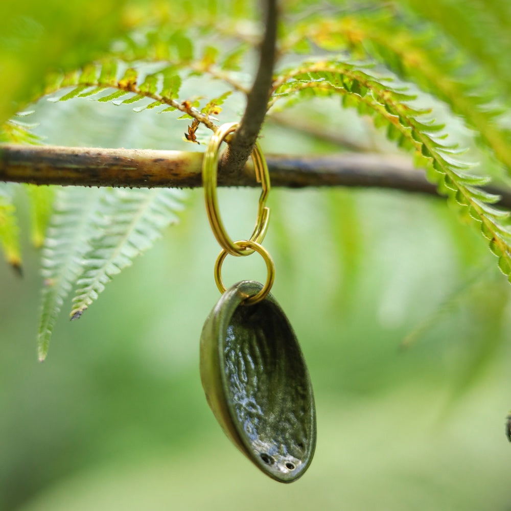 Pāua Keyring