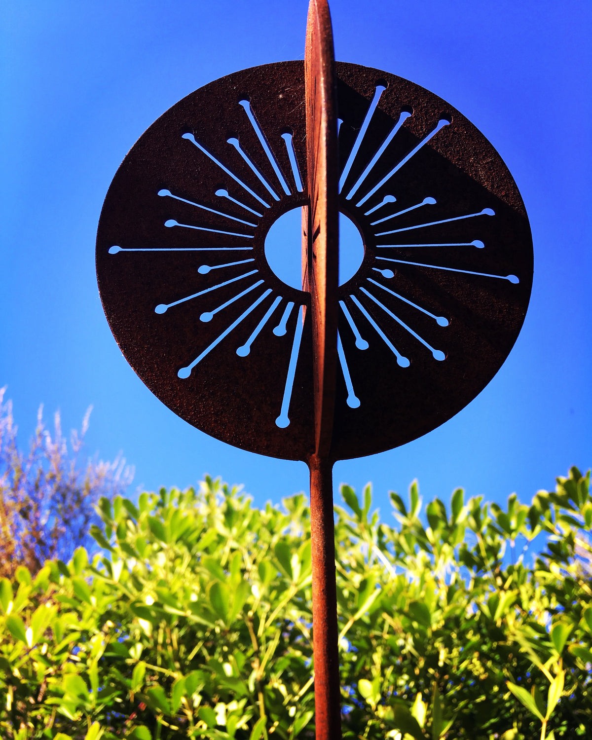 3D Corten Allium