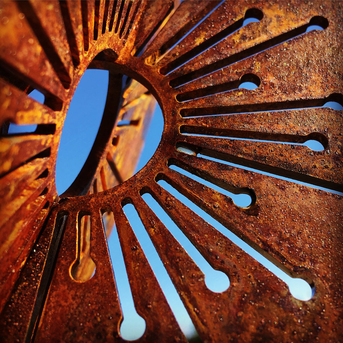 3D Corten Allium