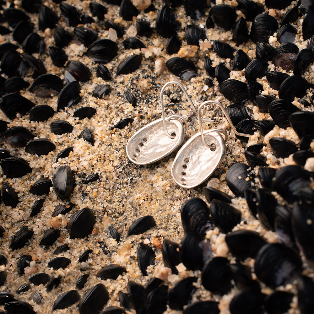 Baby Pāua Earrings in sand and baby mussels