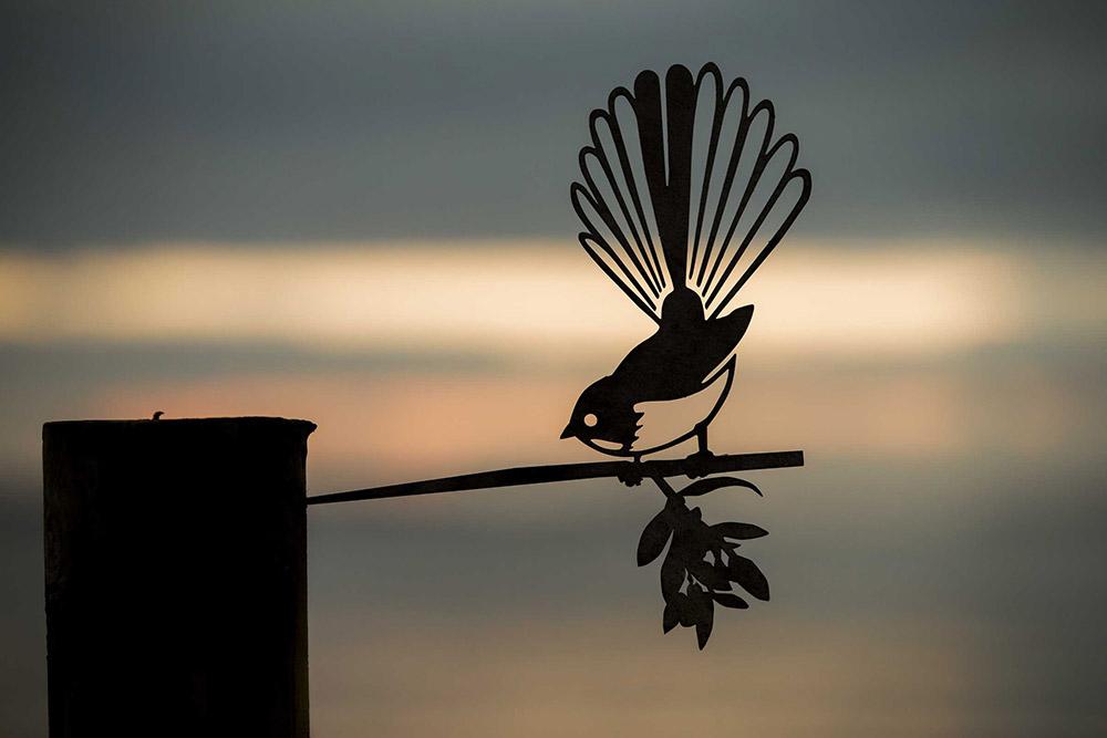 Fantail