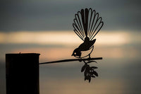 Fantail