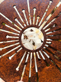 Close image of Alliums