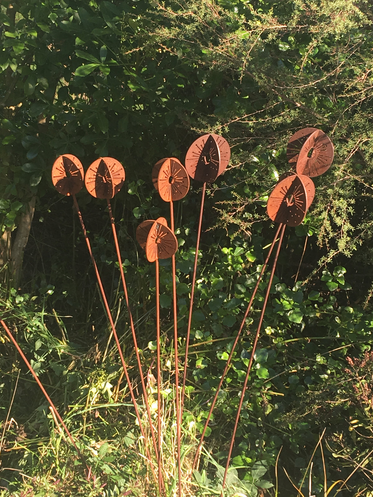 3D Corten Allium