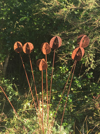 3D Corten Allium
