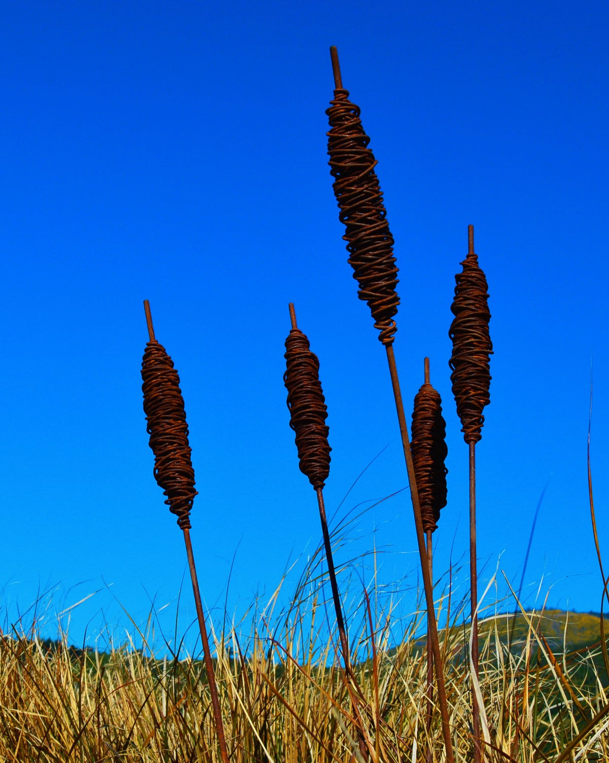 Rusty Burlushes