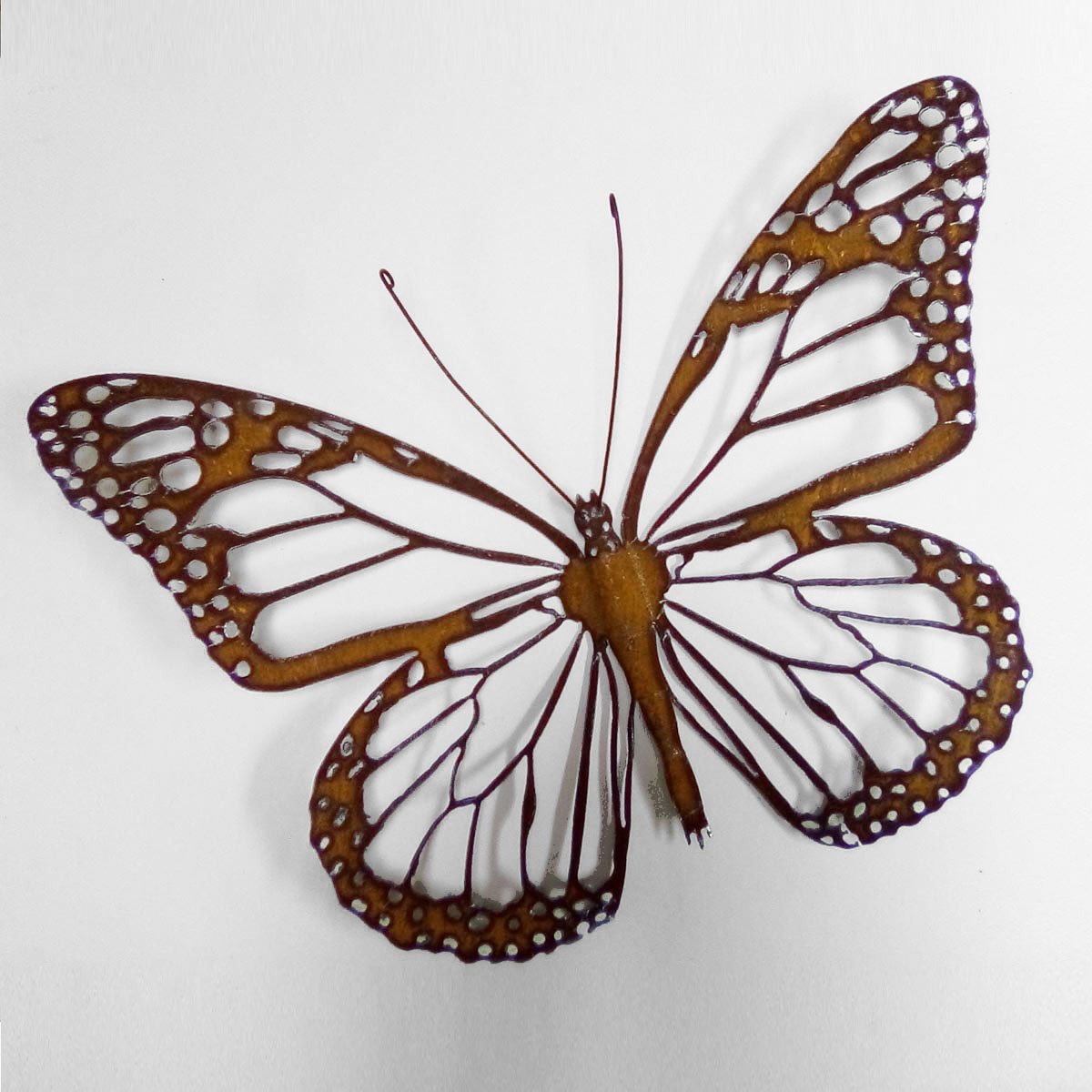 Monarch Butterfly