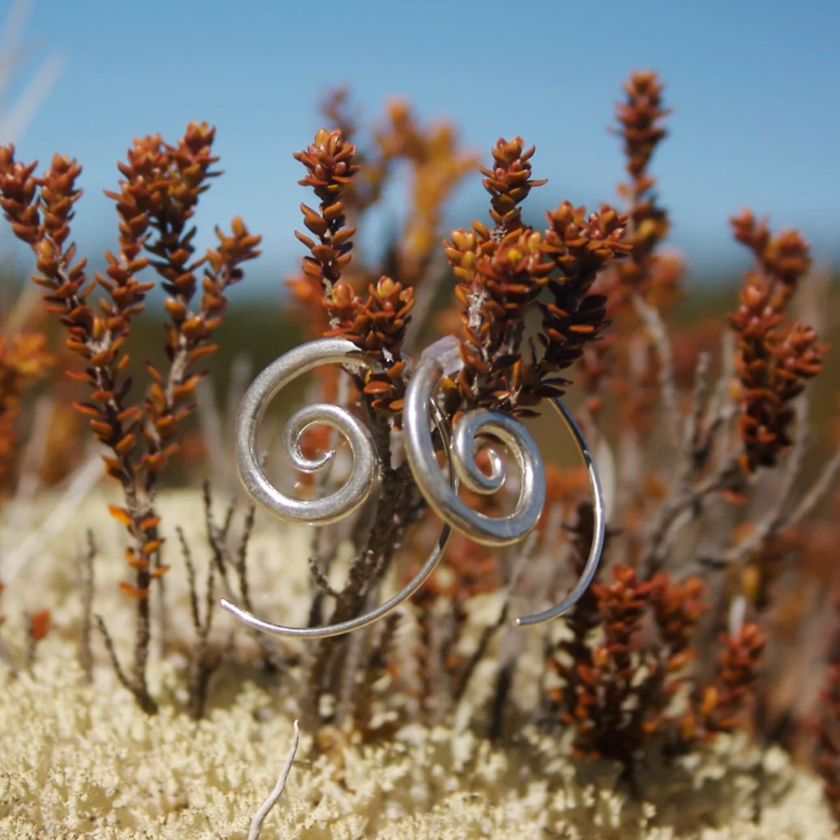 Spiral Sterling Silver Earrings in foliage 