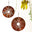 Corten Spinning Alliums Garden Art