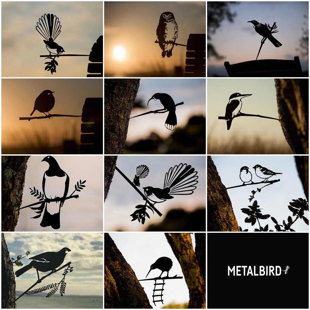 METALBIRD Collection