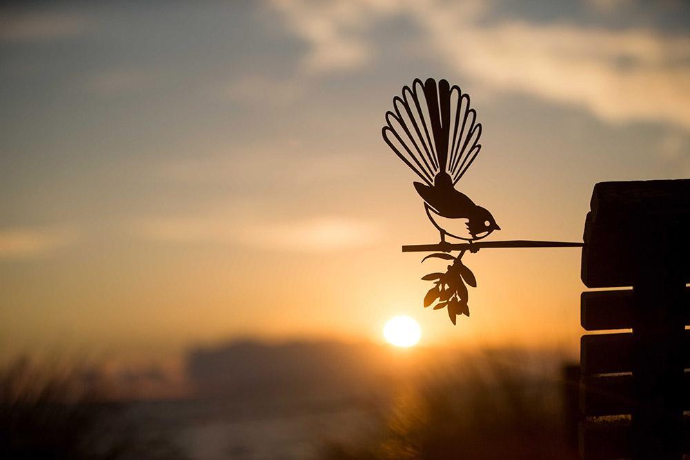 Fantail