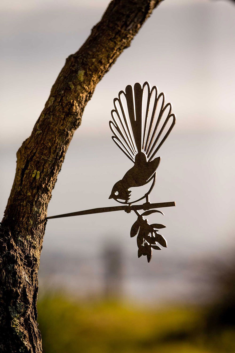 Fantail