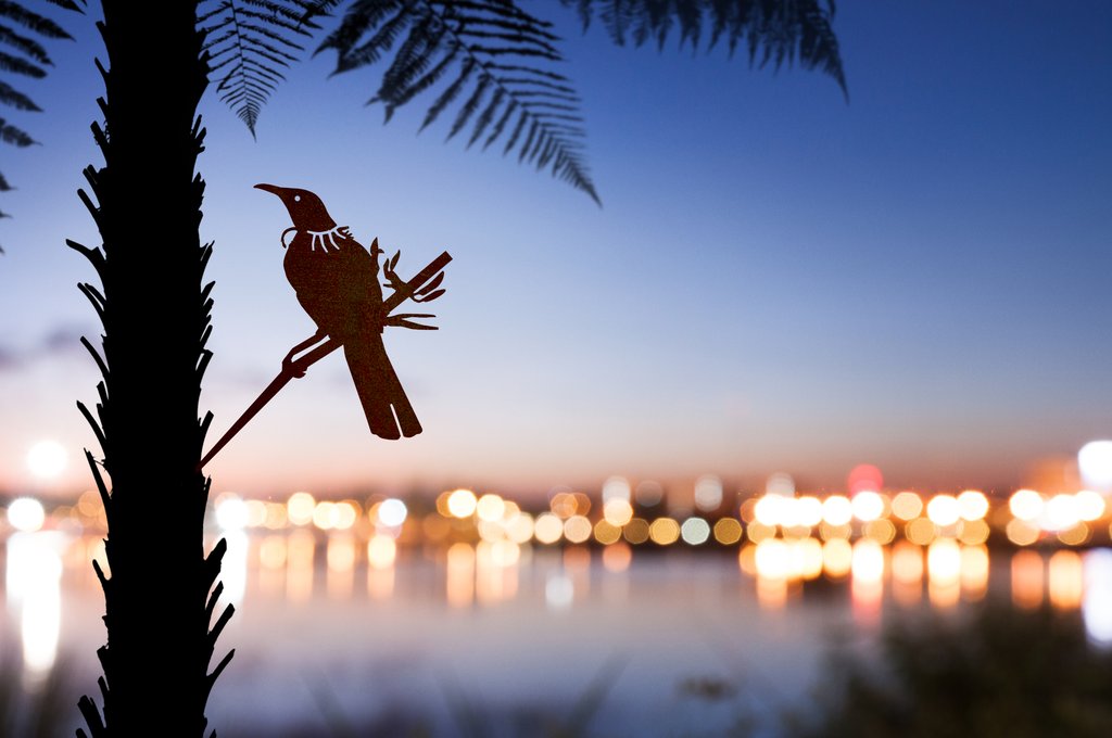 Tui
