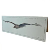 "Harrier Hawk" Greeting Card