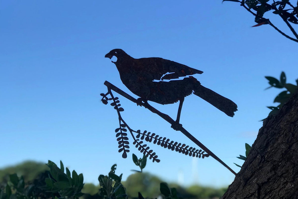 Kokako