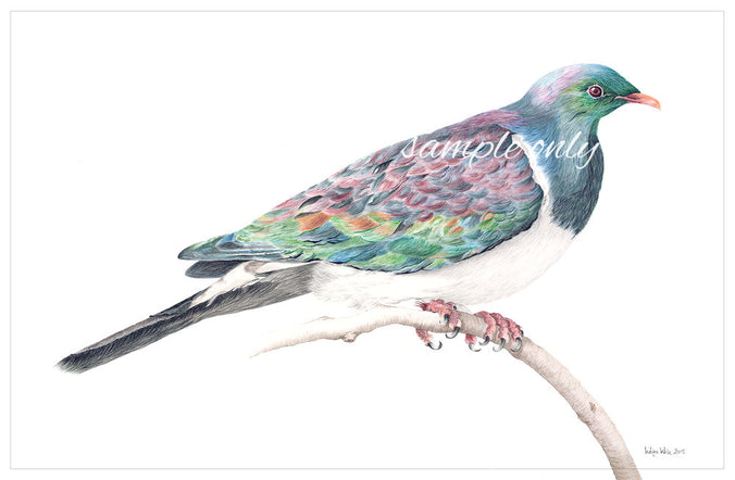 "Peace and Purity" Greeting Card