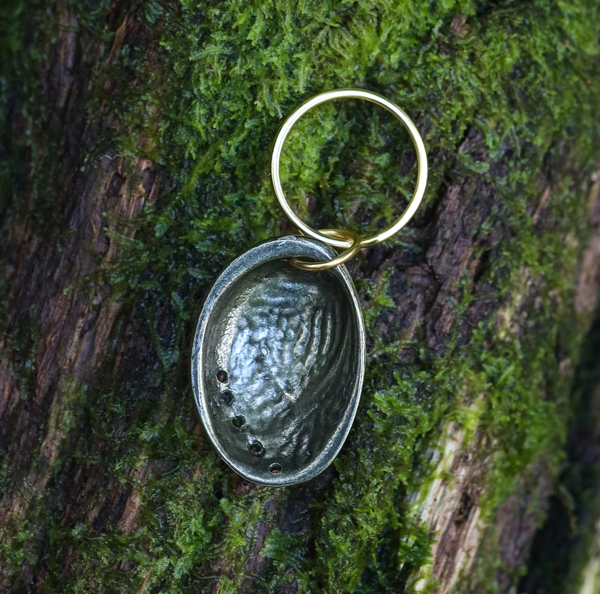 Pāua Keyring