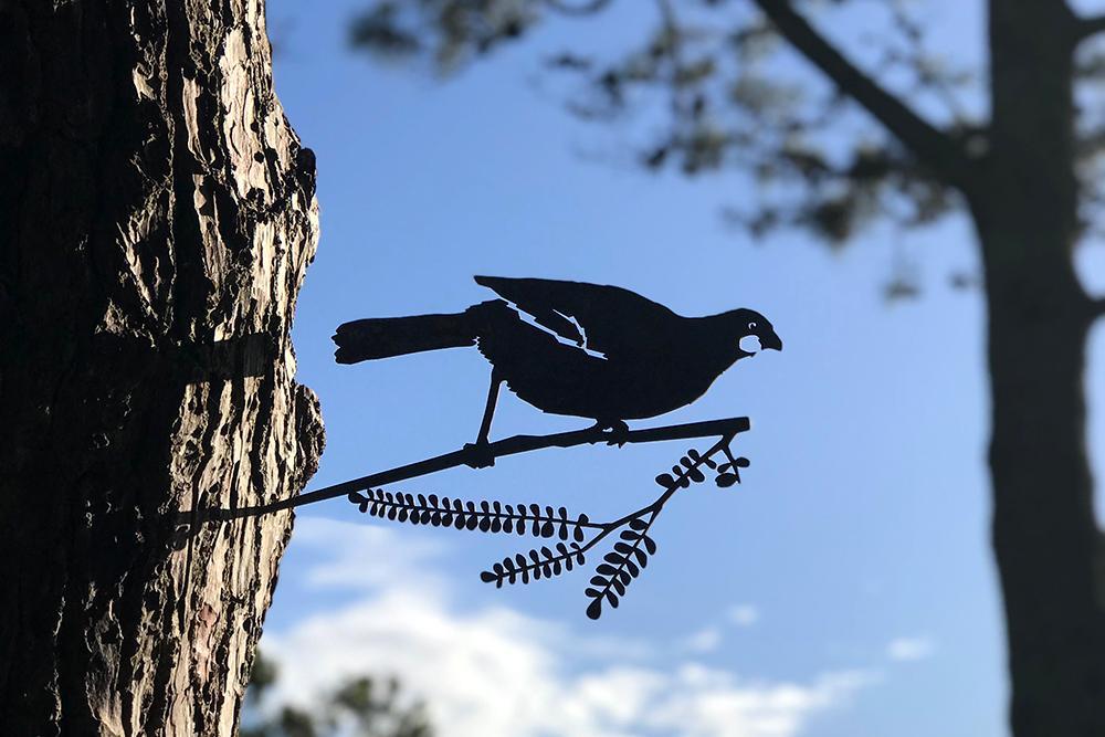 Kokako