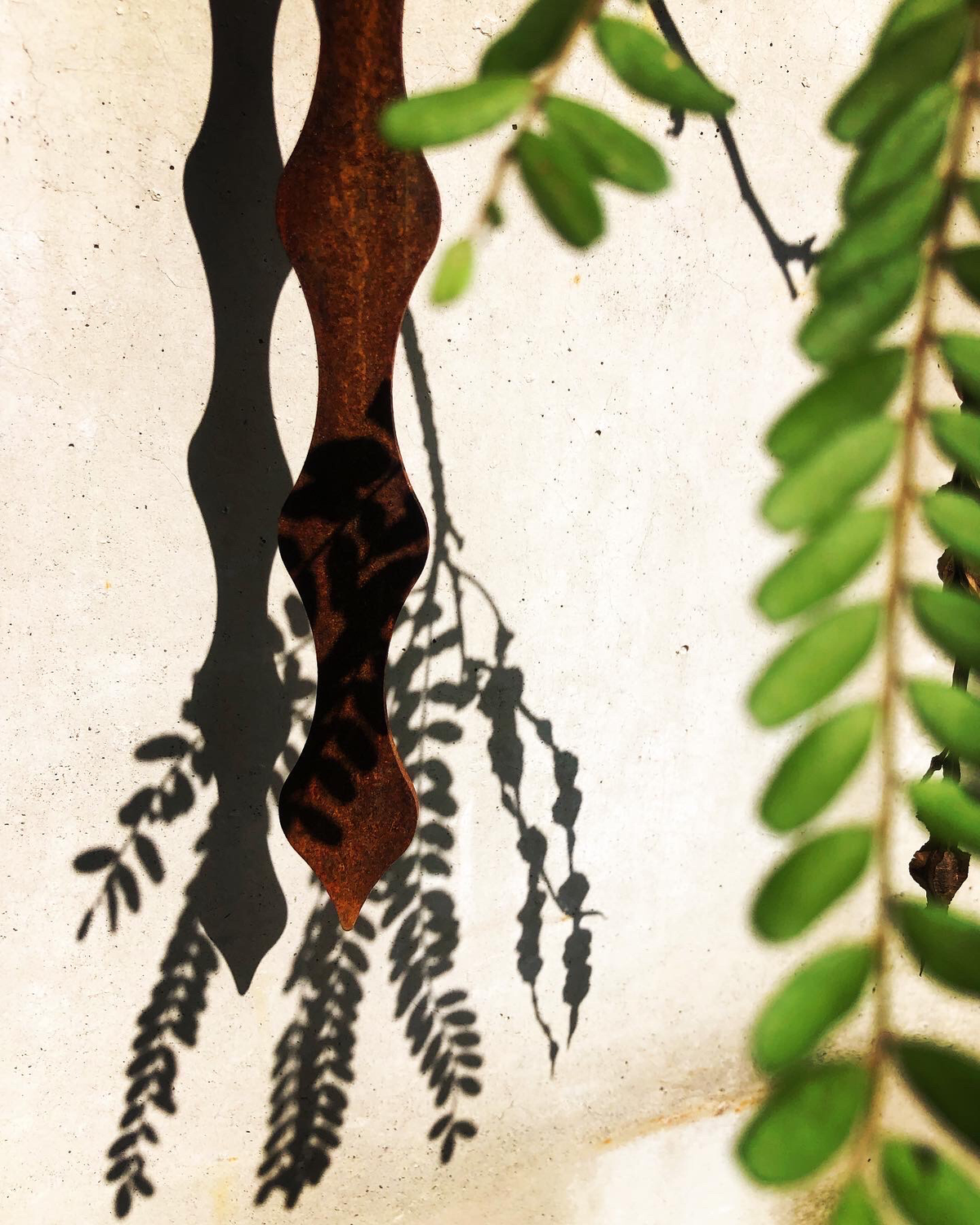 Corten Kowhai Pod