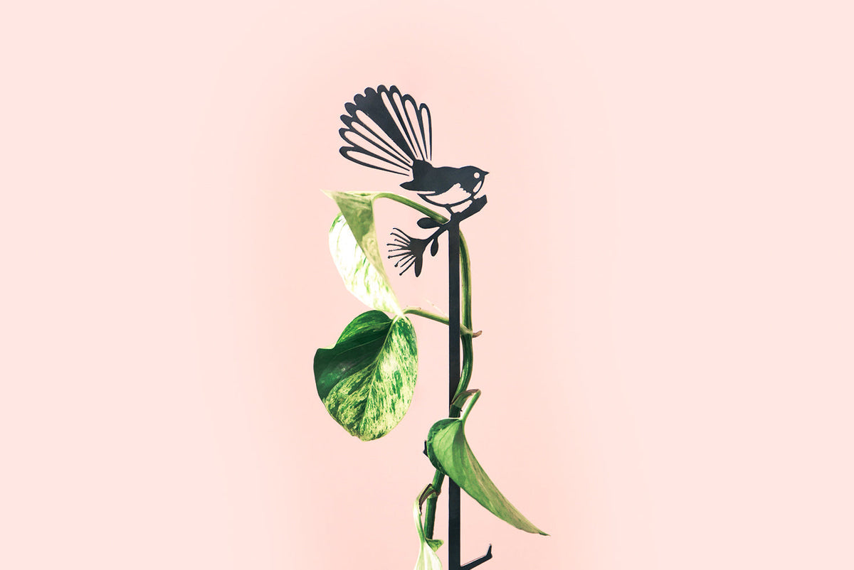 Fantail
