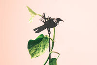 Tui