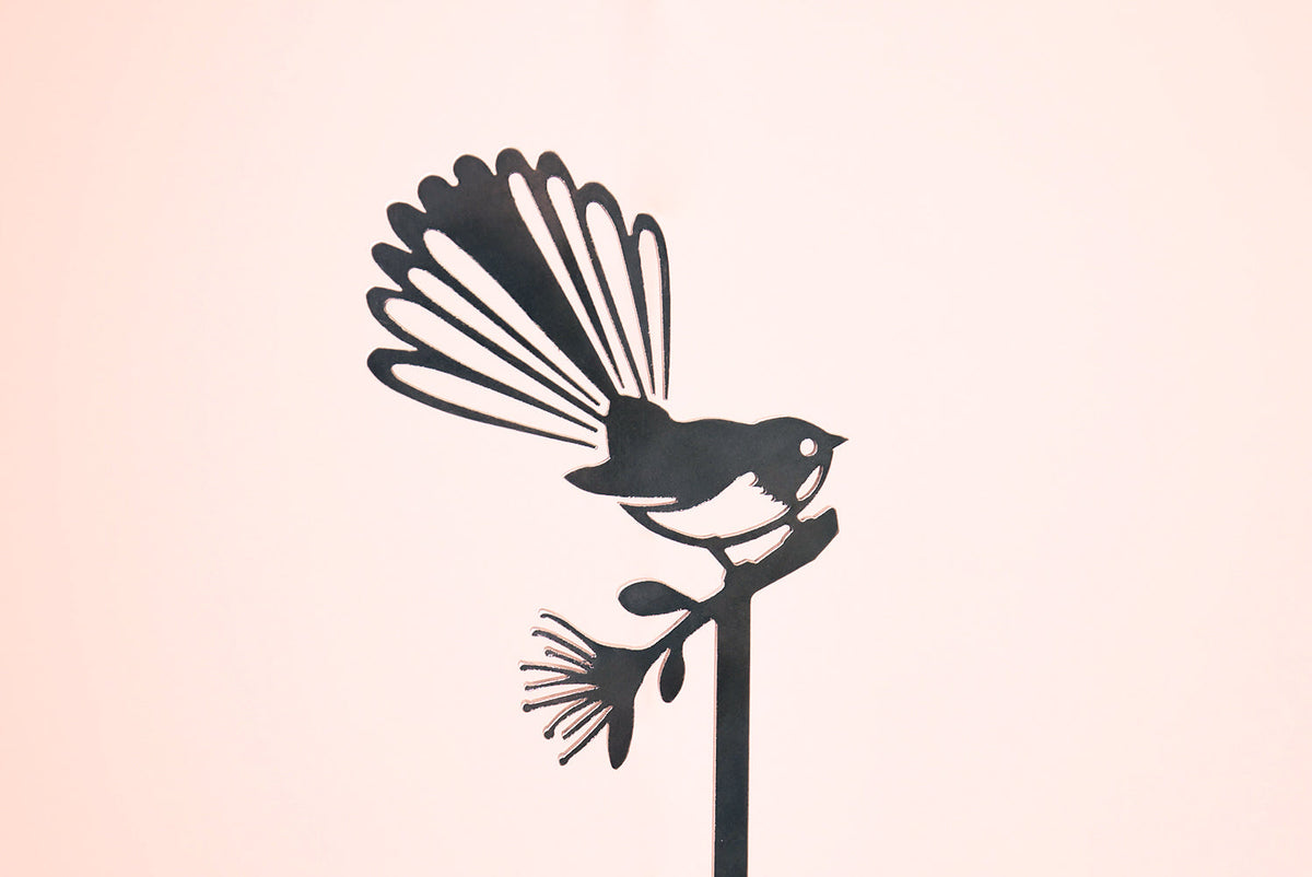 Fantail