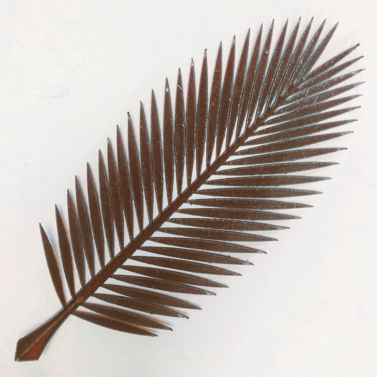 Nikau
