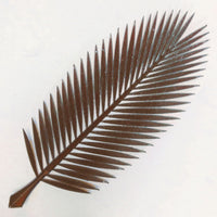 Nikau