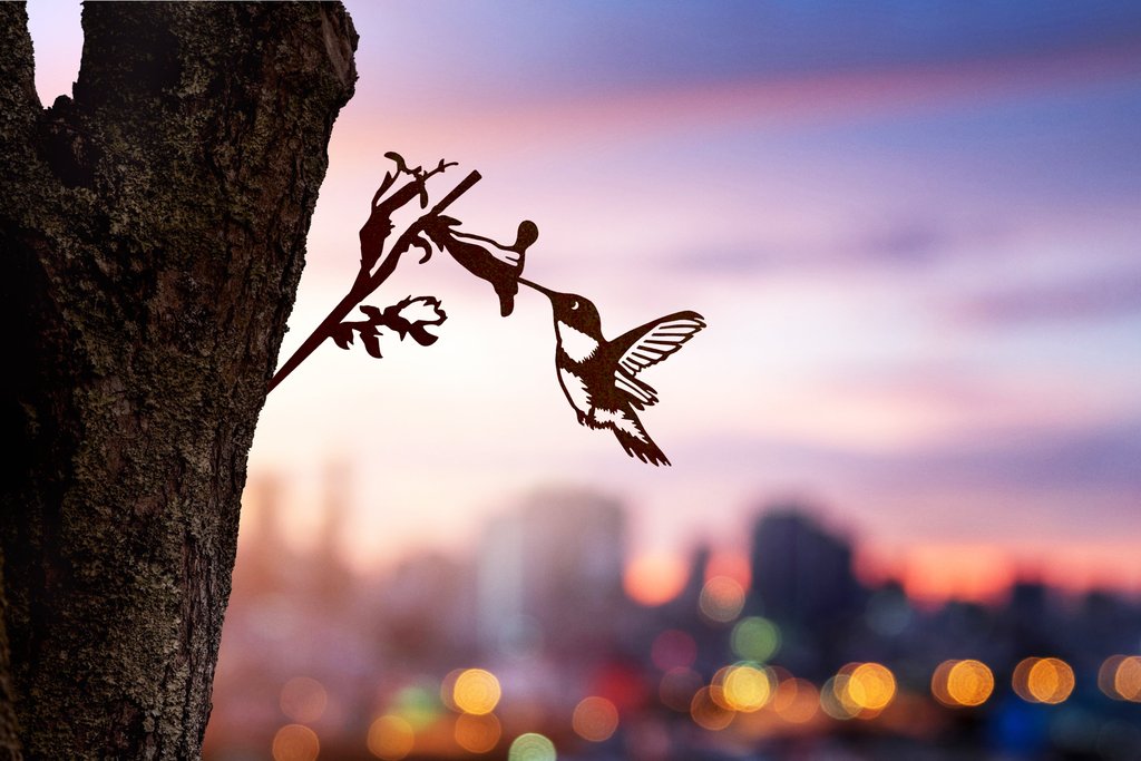 Hummingbird