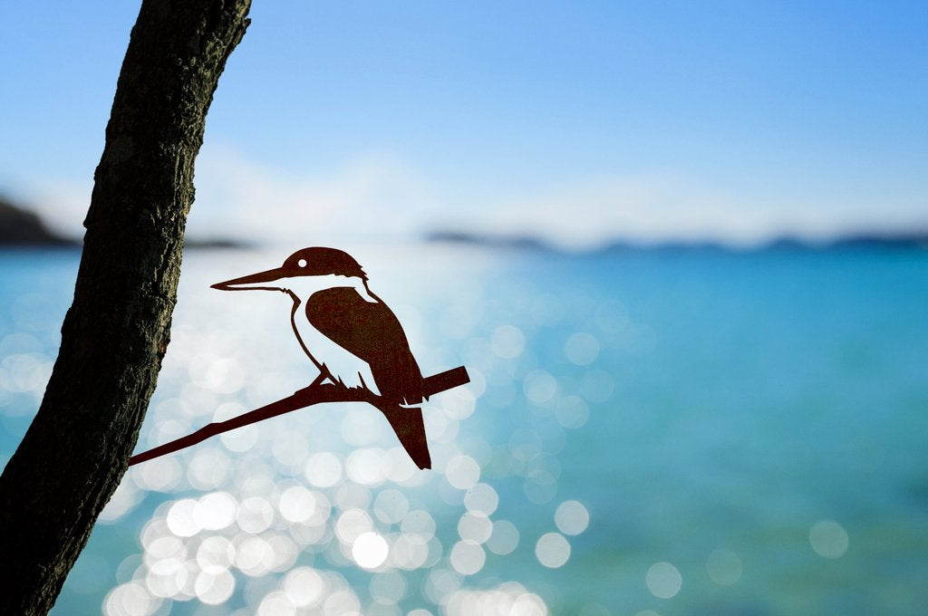 Kingfisher