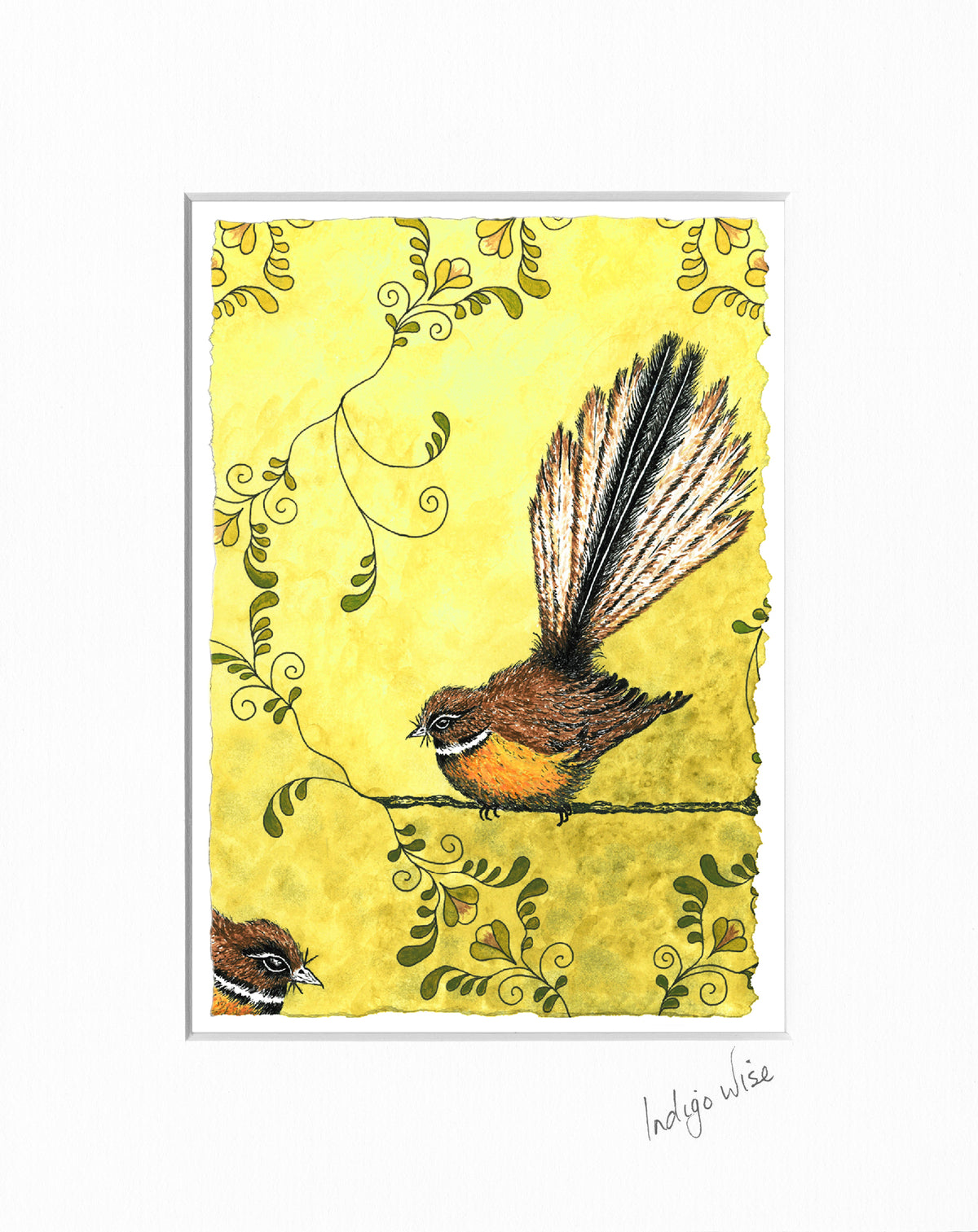 Fantail with Vines - Small Print