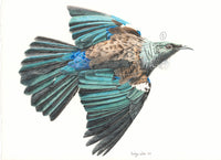 "Tui Flight" Greeting Card