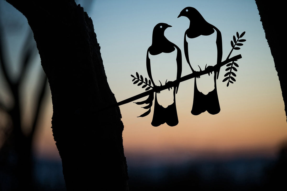 Kereru Pair