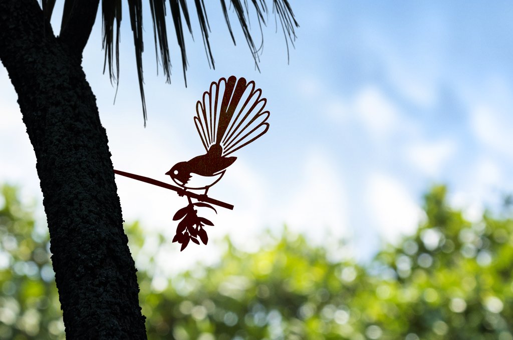 Fantail