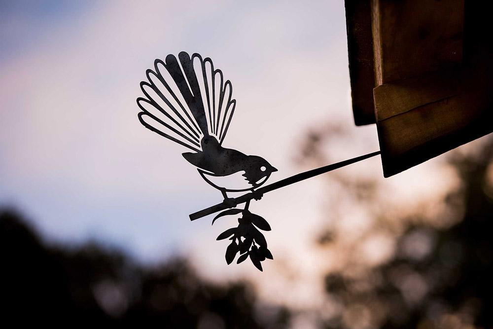 Fantail