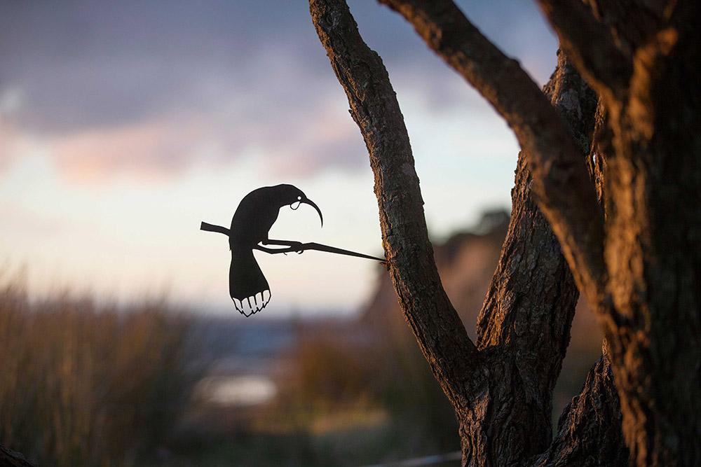 Huia