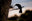 Huia  METALBIRD