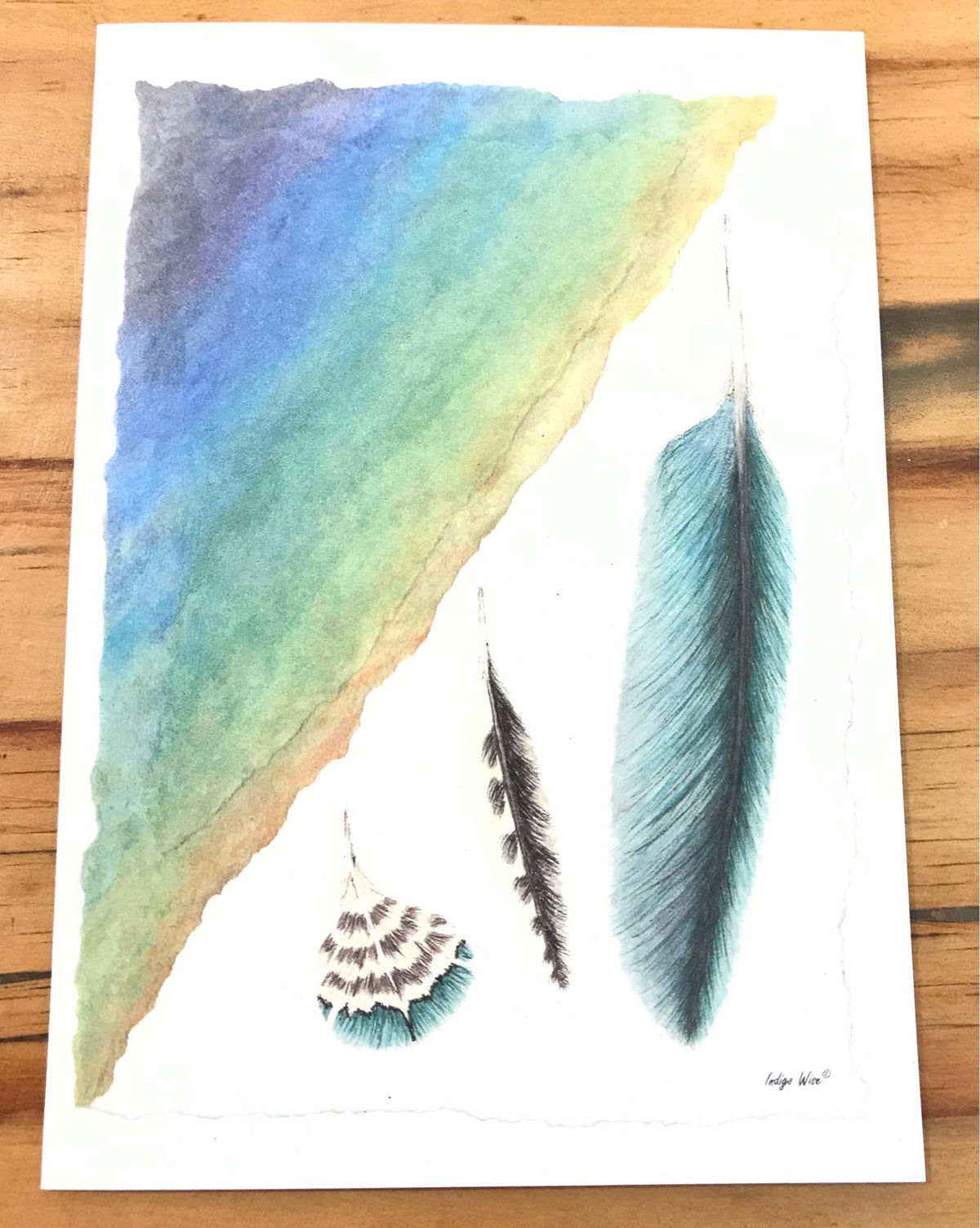 "Kereru Feathers" Greeting Card