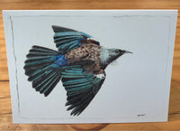 "Tui Flight" Greeting Card