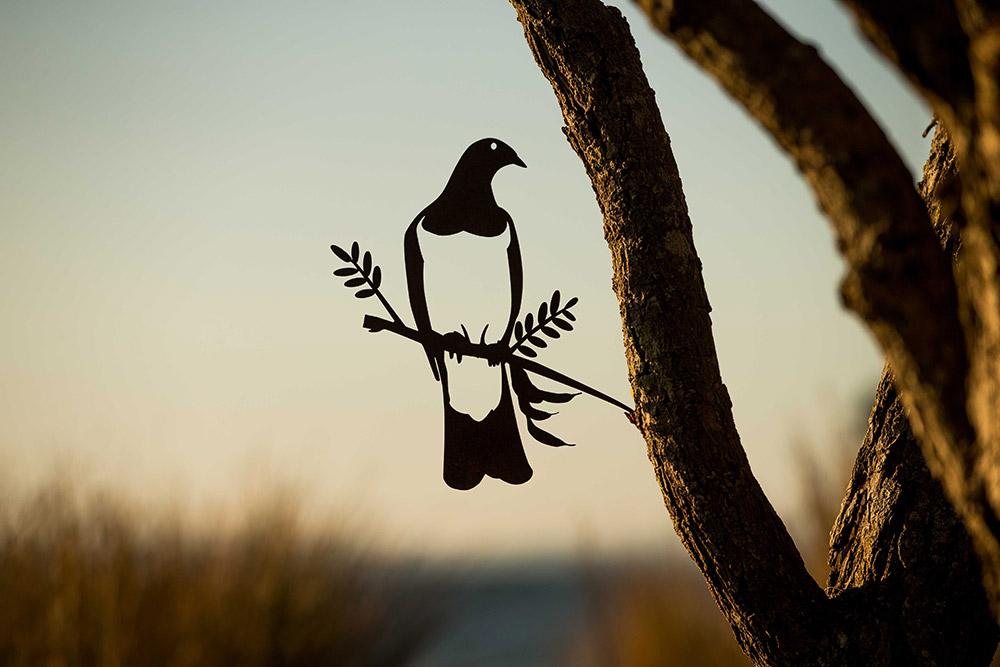 Kereru